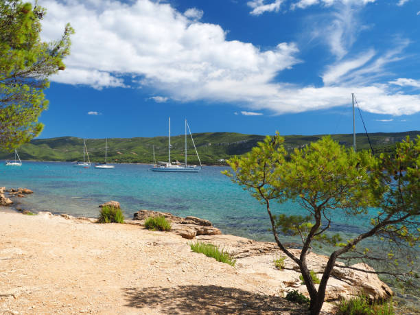 istock Scenic Adriatic Beach on Hvar island 1168169835