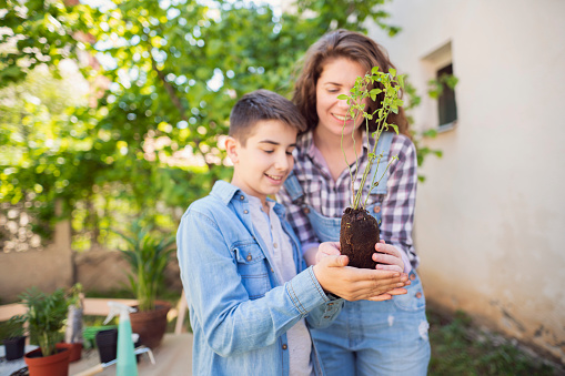 Mother and son preparing a new seedling for planting it in their garden.