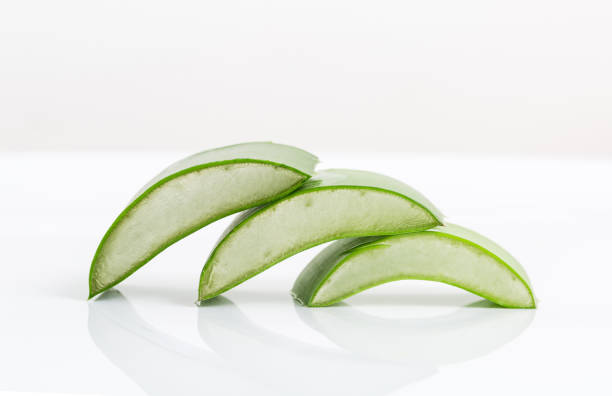 istock Aloe vera. Closeup, White background 1168171677