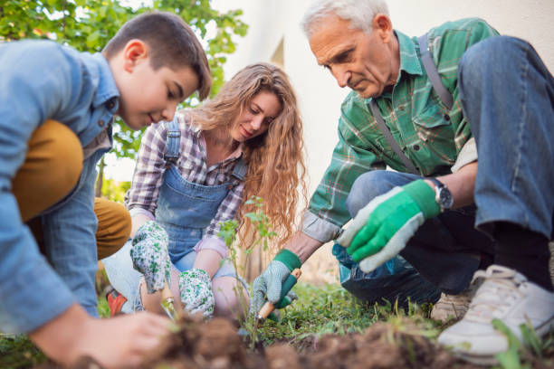 istock Nature lovers in the act of preserving the same 1168171883