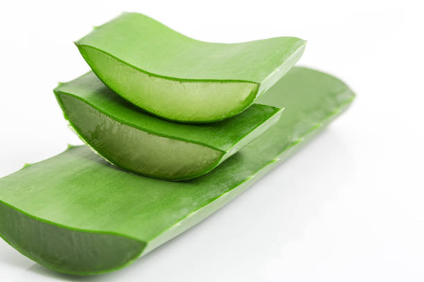 istock Aloe Vera leaves on white background 1168172144