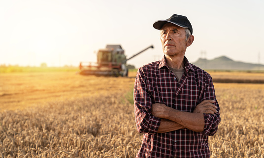 Farmer controlled harvest in his field stock photo