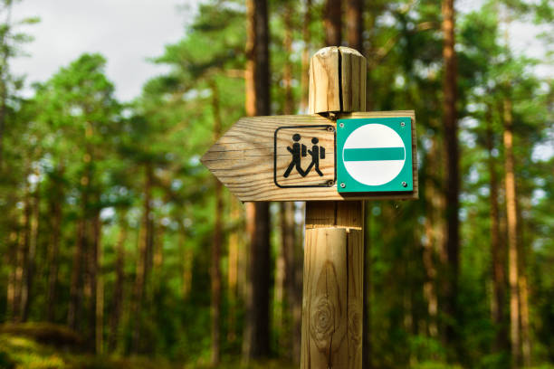 istock Wooden hiking trail sign 1168175521