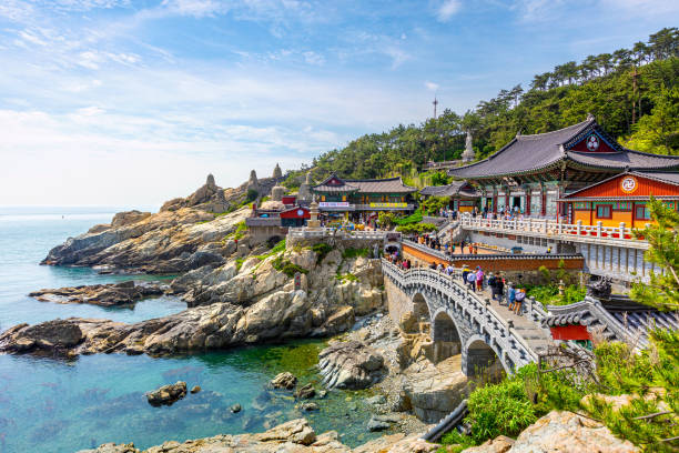 le temple de busan, en corée du sud. - temple photos et images de collection