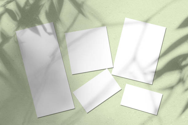 istock Empty white wedding stationery mockups with willow leaves shadows on green background 1168178849