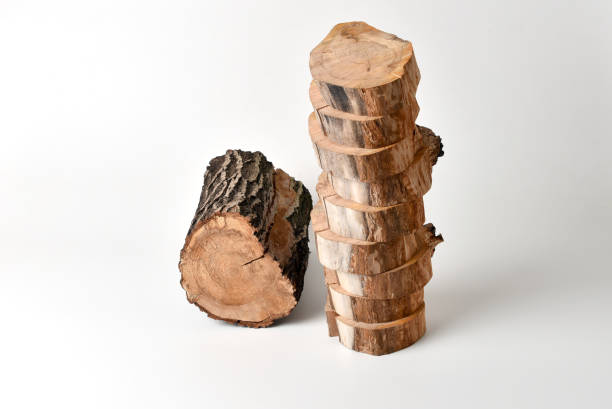 Trunk Tree of Dalbergia cochinchinensis