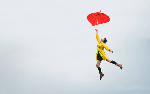 volar a un clima más cálido - white mid air rain wind fotografías e imágenes de stock