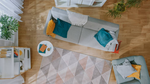 Empty Living Room with Nobody in it. Modern Interior with Carpet, Grey Sofa with Blue and Yellow Pillows, Chair, Coffee Table, Shelf with Books, Green Plants and Wooden Floor. Top View.