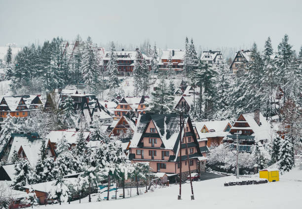 Tatra mountain landscape of zakopane with wooden cottages. Panoramic beautiful winter landscape view. Tatra mountain landscape of zakopane with wooden cottages. Panoramic beautiful winter inspirational landscape view. zakopane stock pictures, royalty-free photos & images