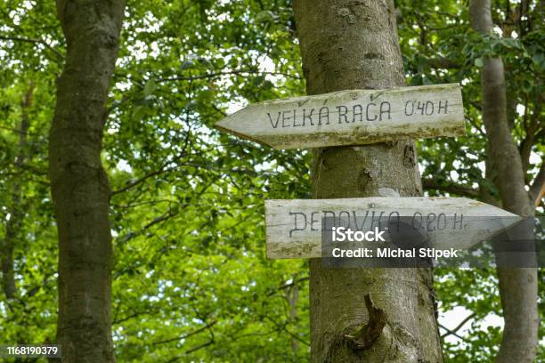 Wooden Signpost On Walking Trail Close To Velka Raca Peak In Northern Slovakia Stock Photo - Download Image Now