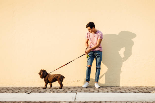 ragazzo millenial che cammina con il suo cane - guinzaglio foto e immagini stock