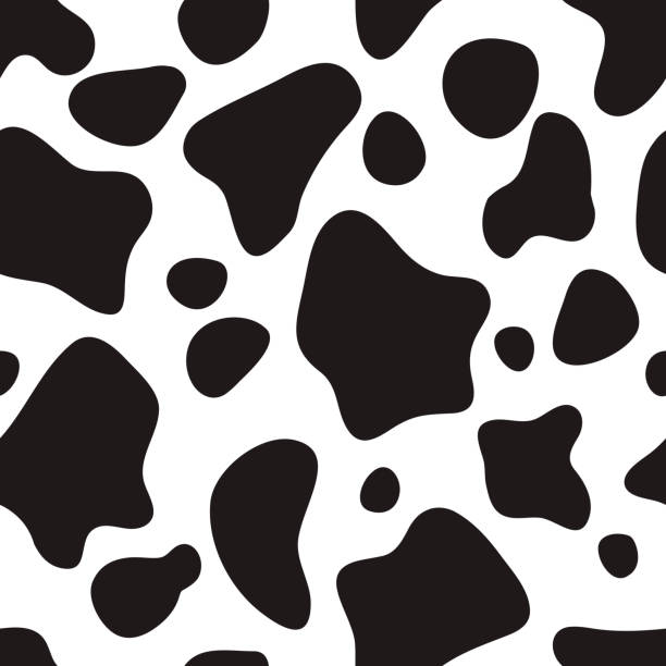 ilustraciones, imágenes clip art, dibujos animados e iconos de stock de patrón sin costuras blanco y negro. fondo de piel de vaca - vacas