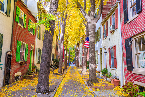 Autumn alleyway in Philadelphia, Pennsylvania, USA.
