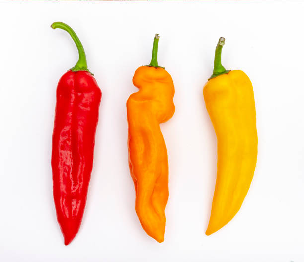 istock Peppers in red, orange and yellow on a white background 1168195039