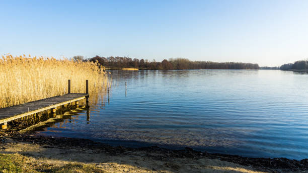 istock landscape with jetty at a lake and reed grass 1168199639