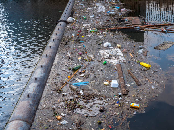 problème environnemental : plastique dans l'eau, arrêté par une barrière - disposable cup plastic beer bottle photos et images de collection