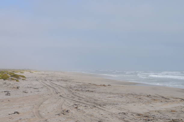 istock Landscape view of Skeleton coast, Namibia 1168202670