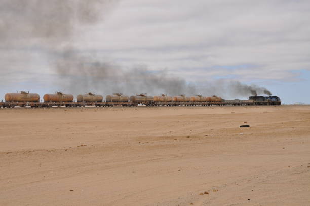 istock Landscape view of Skeleton coast, Namibia 1168203106