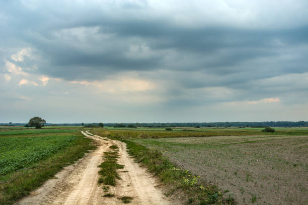 istock Dirt road through the fields and clouds in the sky 1168203137