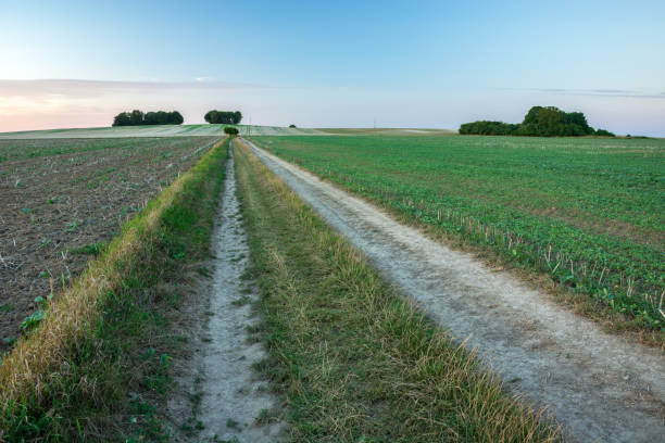 istock A long road through the fields, horizon and sky 1168203760
