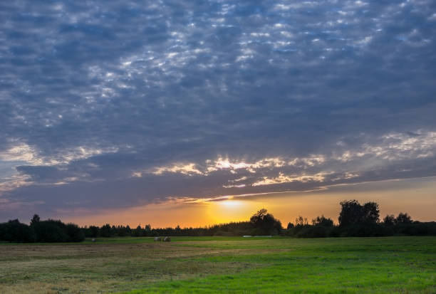 istock The setting sun and blue clouds over the meadow 1168203800