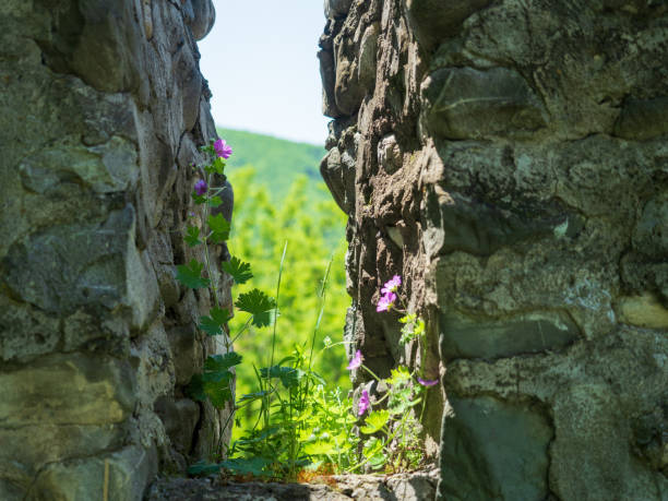 Spring Landscape in Skeki, Azerbaijan. - May 09 2019