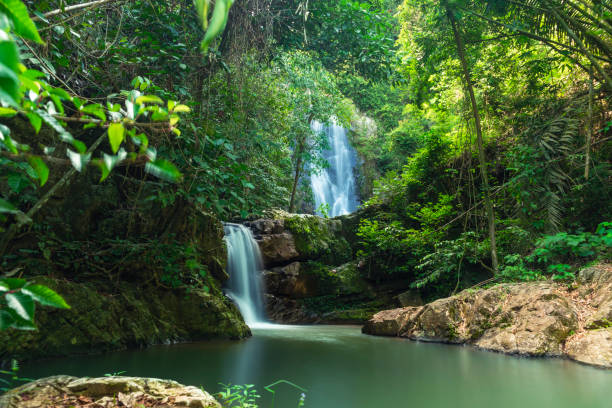 cachoeira de klongphrao - chumphon - fotografias e filmes do acervo