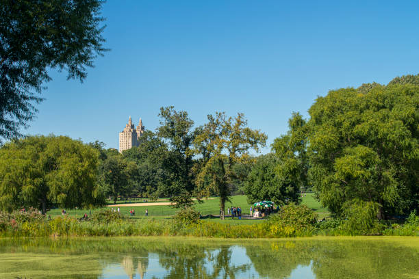 istock Reflection on a water pond at Central Park, Manhattan, New York, USA. 1168210953