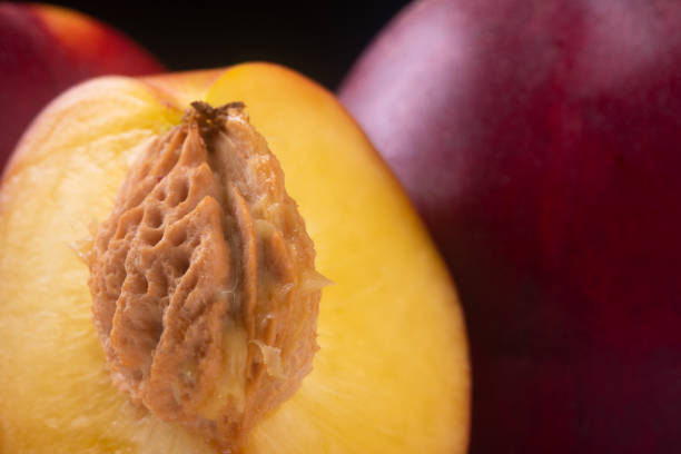 nectarine