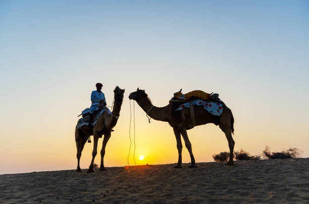 istock Indian Man Riding Camel During Sunrise at Thar Desert in Rajasthan, India 1168218433