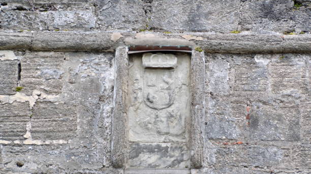 istock Seal in the stone 1168219431