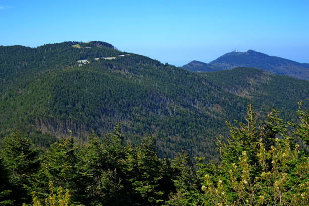 istock Scenery from Mount Mitchell State Park, North Carolina. 1168219721
