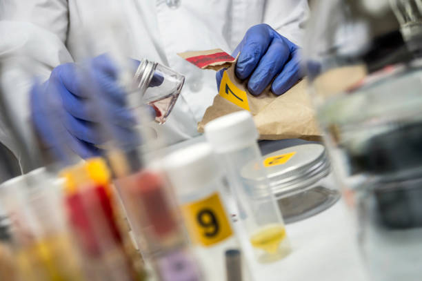 Police expert extracts traces of blood in a swab for analysis in the laboratory scientist stock photo