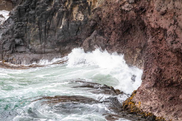 istock ocean wave on a red rock at New Zealand 1168222210