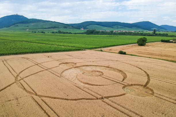 istock crop circles field Alsace France 1168225961