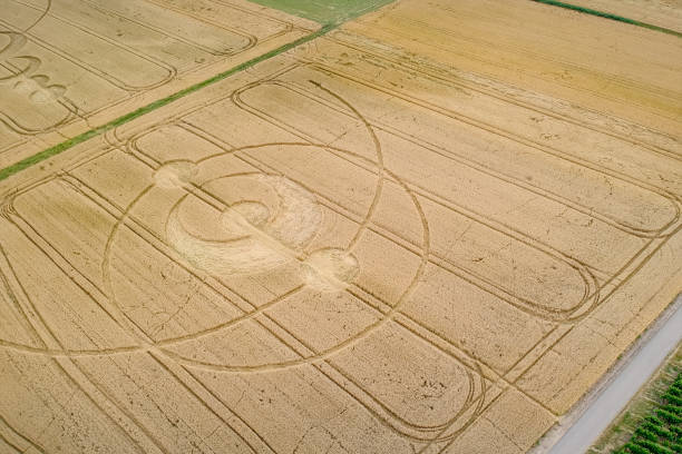 istock crop circles field Alsace France 1168226218