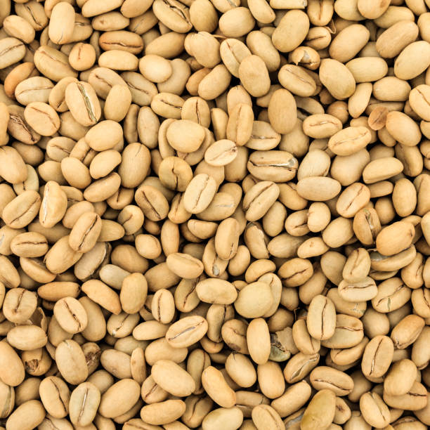 istock Green (raw) coffee beans, East Africa 1168228441
