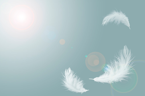 abstracto solf plumas blancas flotando en el aire photo