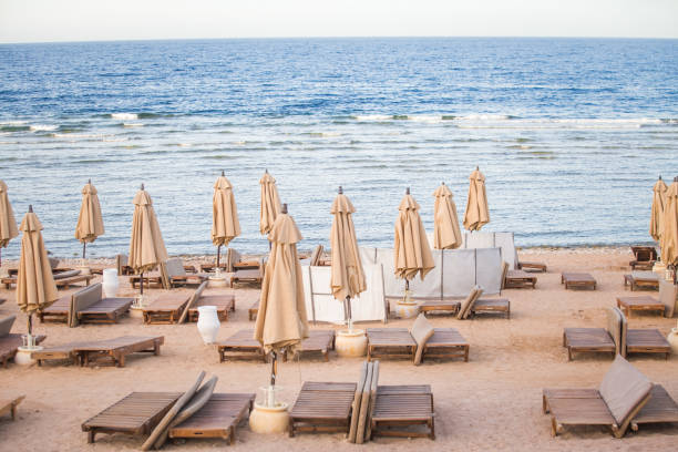 istock beach umbrella summer sea background 1168231227