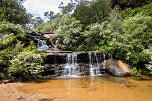 istock waterfall at the Blue Mountains Australia 1168231593