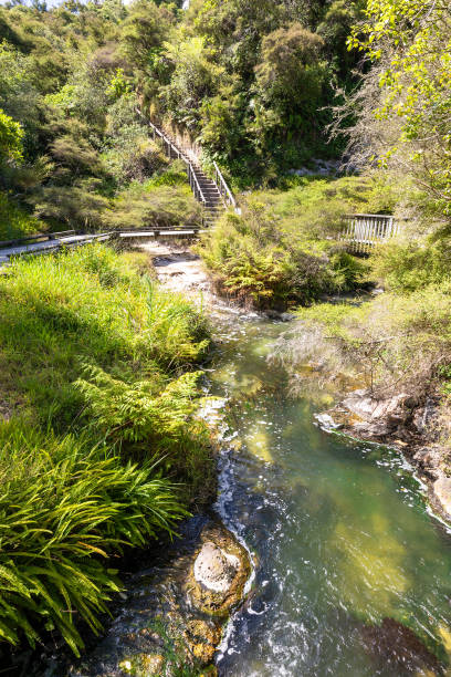 istock volcanic activities at waimangu 1168231717