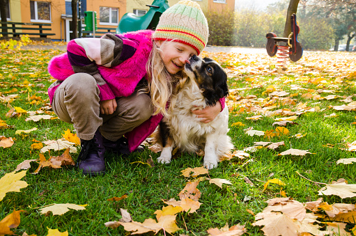 dog and beautiful lovely girl playing together in autumn playground