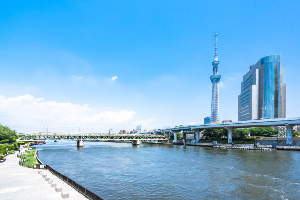 istock Tokyo Skytree Buildings in Sumida Cityscape 1168234770