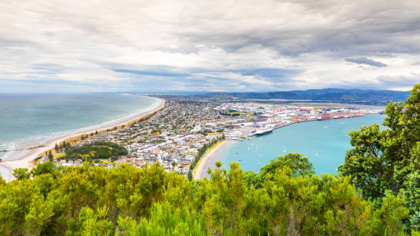 istock Bay Of Plenty view from Mount Maunganui 1168236844