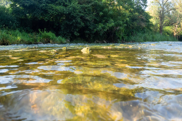istock outdoor river Neckar water scenery 1168236929