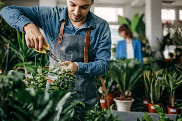istock Man preparing flowers for sale 1168238230