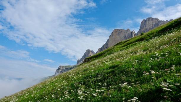 istock Trekking in the high mountains 1168239286
