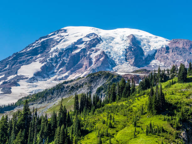 istock View of Mount Rainier from Paradise 1168239482