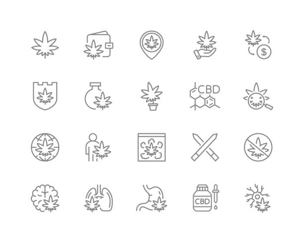 Set of cannabidiol line icons. CBD, cannabis, marijuana oil, treatment, weed, tobacco and more. Set of cannabidiol line icons. CBD, cannabis, marijuana oil, treatment, weed, tobacco, hemp flower buds and more. Isolated on a white background. weeding stock illustrations