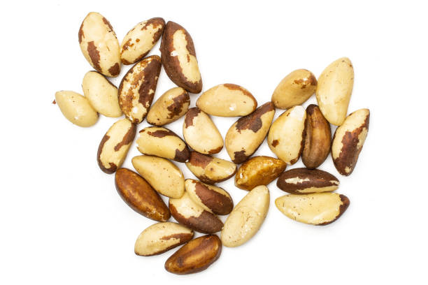 istock Unshelled brazil nut isolated on white 1168247268